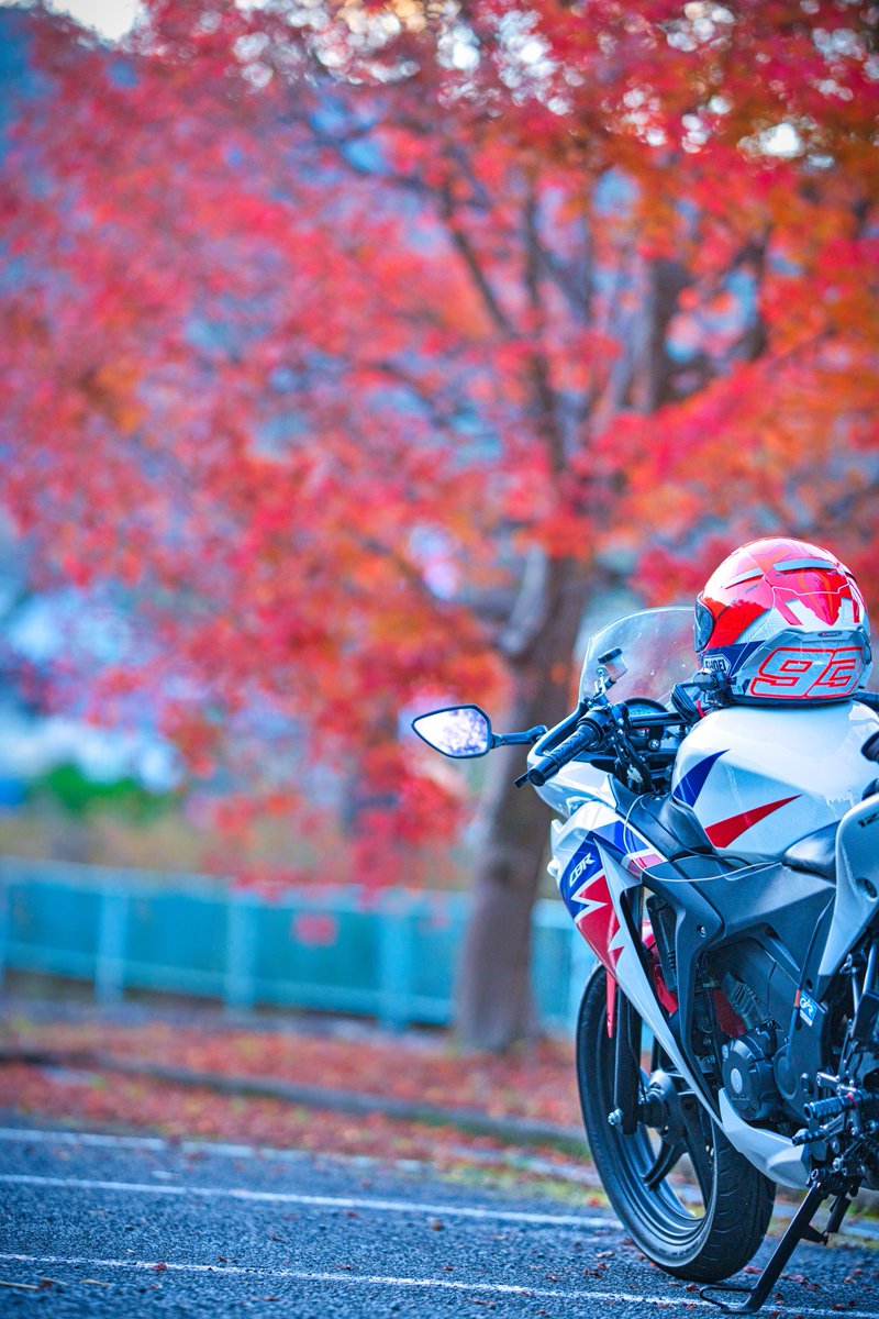そろそろバイクに乗りたい。
十分楽しいのにリッター50km超えの燃費マシン😁
ただCBR125Rはギヤが微妙。指定のG1だとギヤ抜けが酷いので、G3入れたら全くなくなった🎶
ギヤ抜け酷い人はオイル変えてみることオススメ。