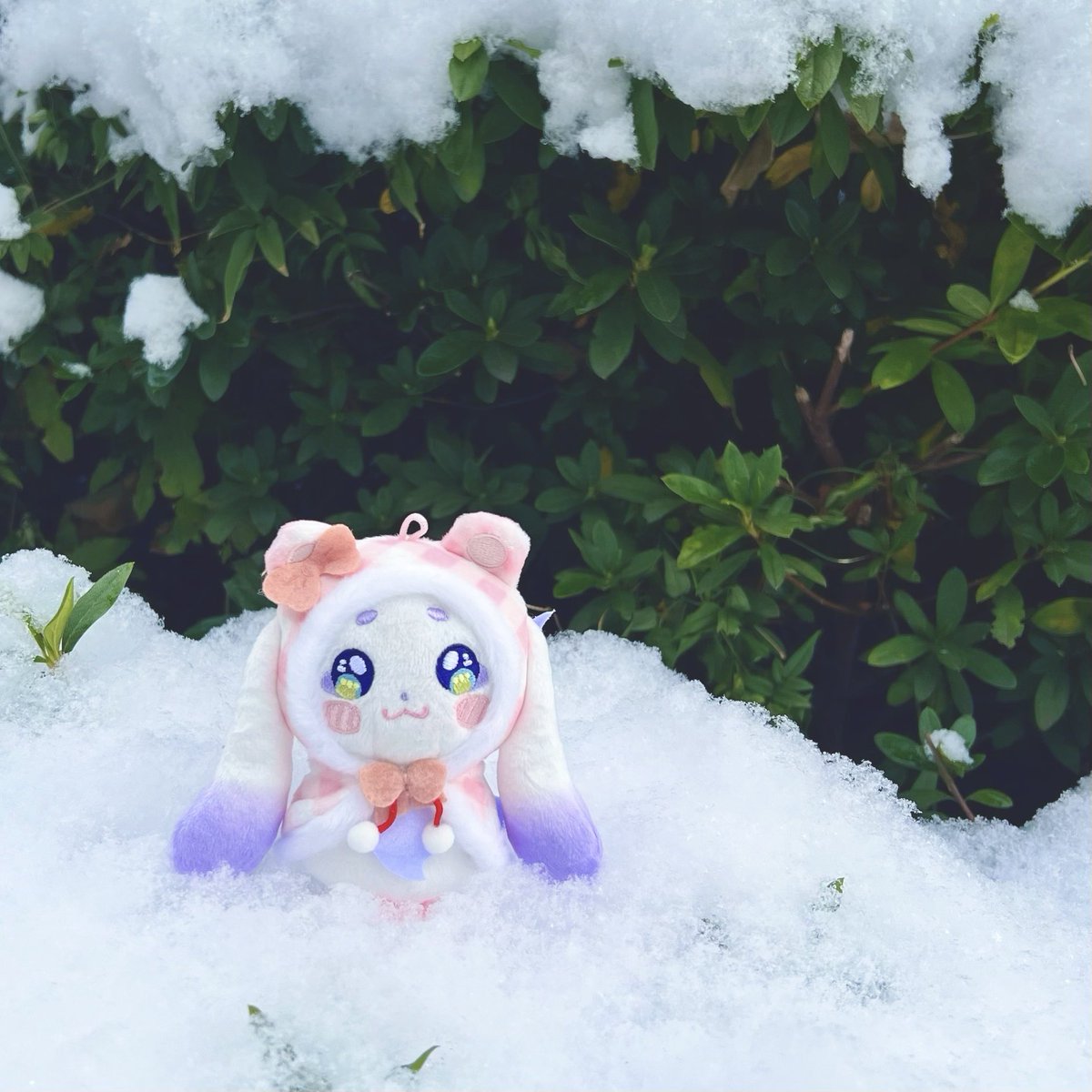 ちょまちゃん足寒くないかい?? そろそろ帰ろっか☺️ #ちょまと撮ったよ