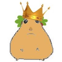 KING Taco tweet media