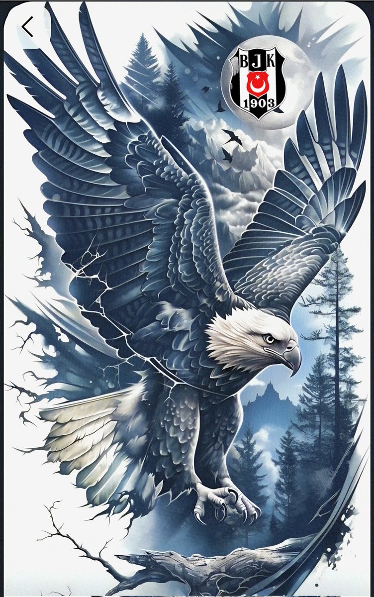 Güzel bir galibiyet alalım artık 🦅
Başarılar Beşiktaş 🦅
#BeşiktaşınMaçıVar