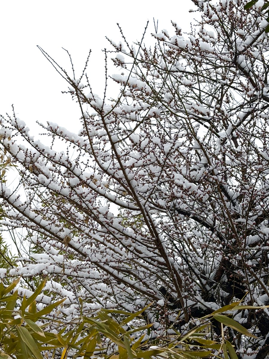 あいざわひろし tweet media