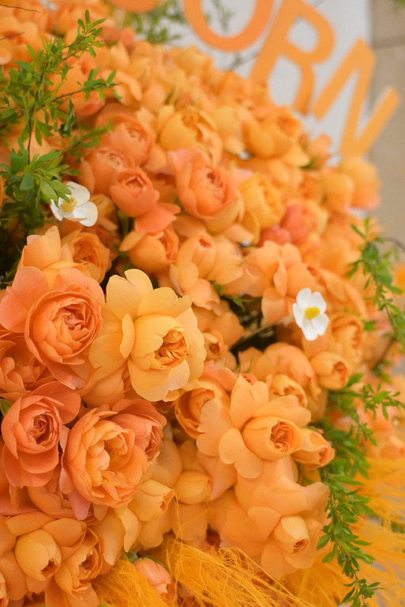 Nacho_0112 tweet media