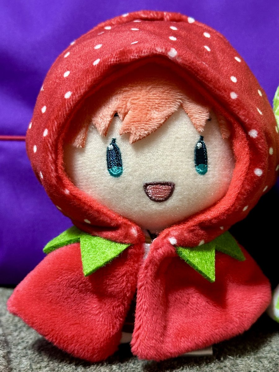 かほぬいちゃんにはいちご🍓の妖精さんになっていただいた、似合うね