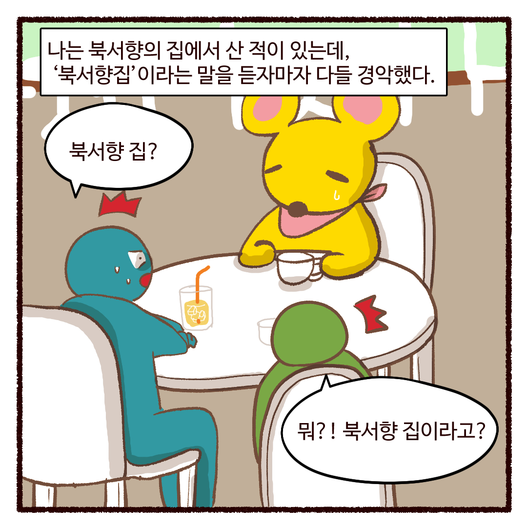 엘레꼴레(ElleColle)통합공지계 tweet media