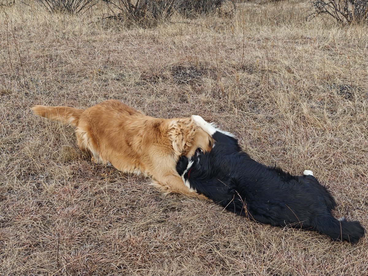 Chad柴德 tweet media