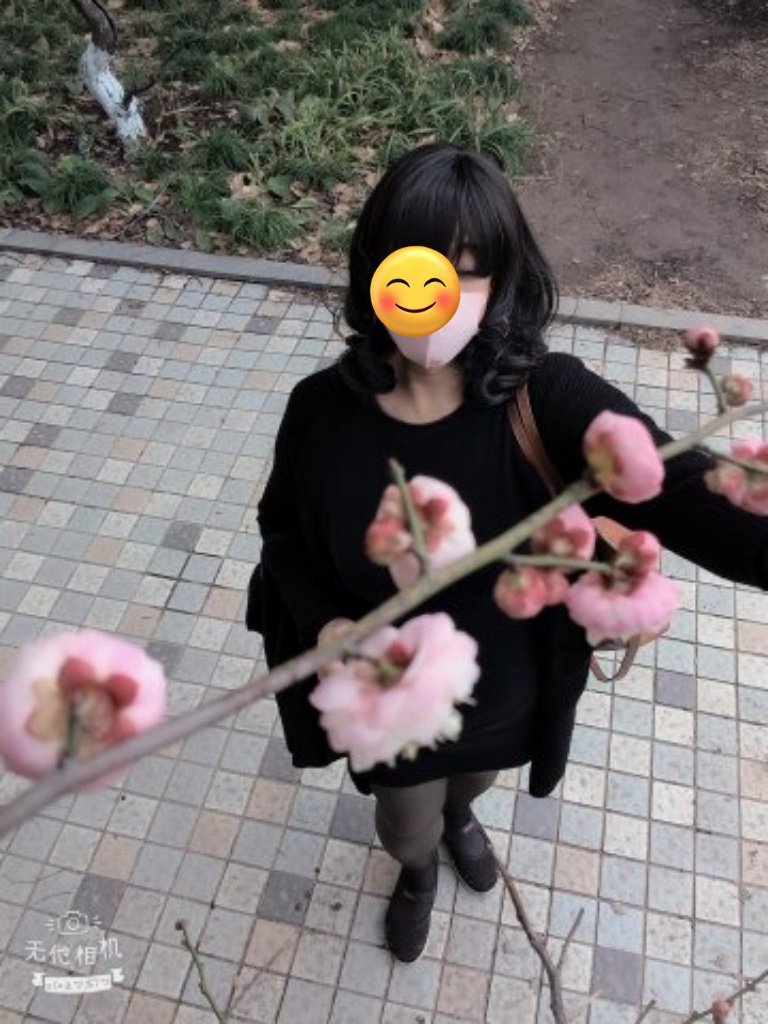 寒冬中的臘梅處處爭艷。