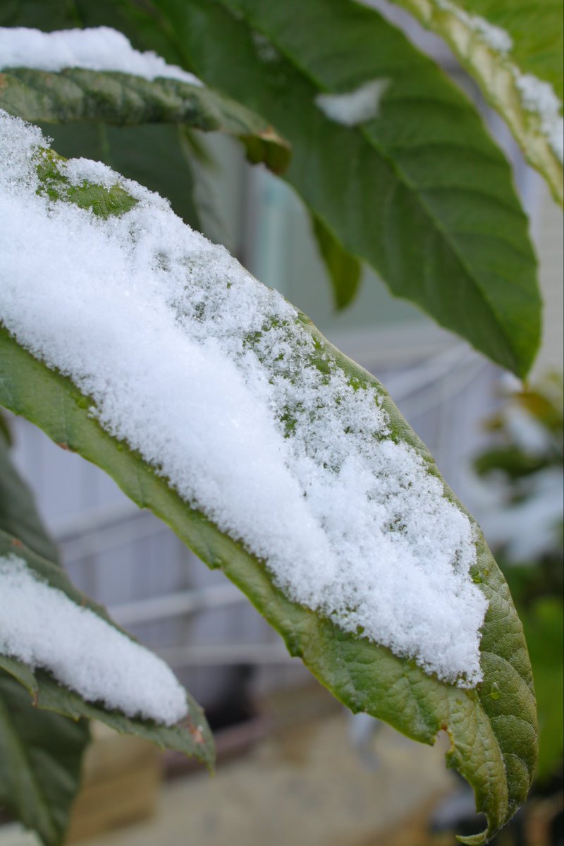 散歩しました☃️❄️