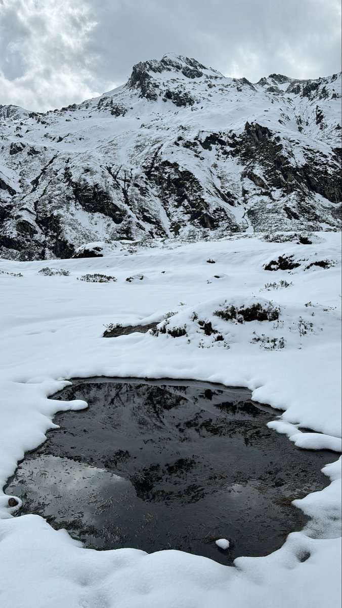 alameri94_'s tweet image. ❄️⛄️🗻