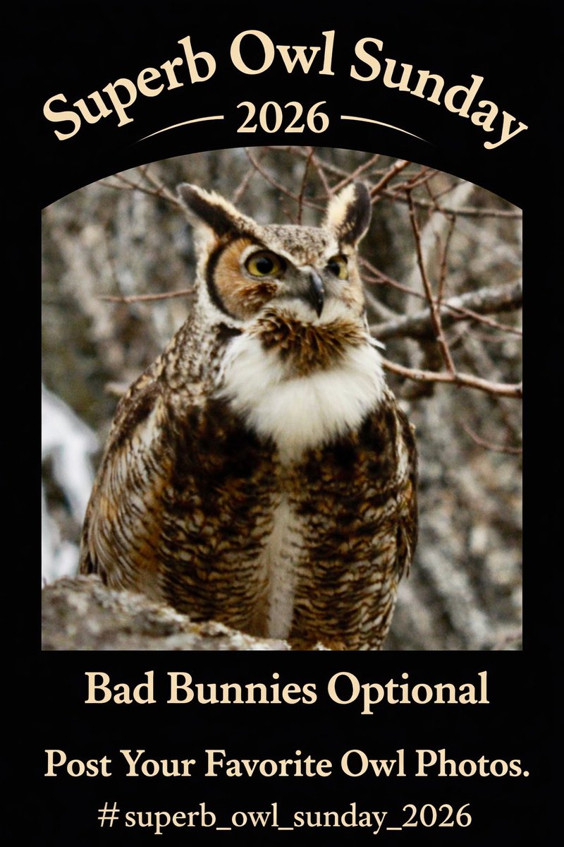 Less Beaten Paths tweet media