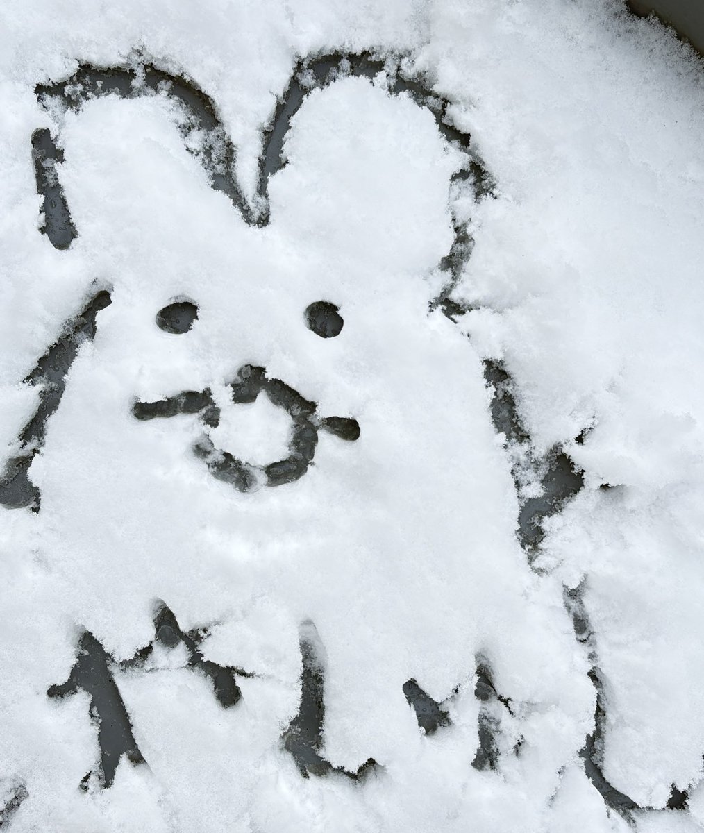 さーんふらわ🌻 tweet media