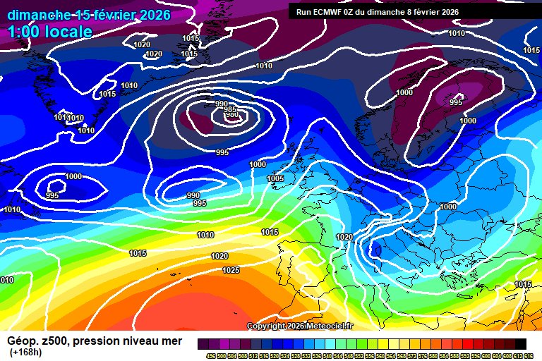 carlos/virazón tweet media