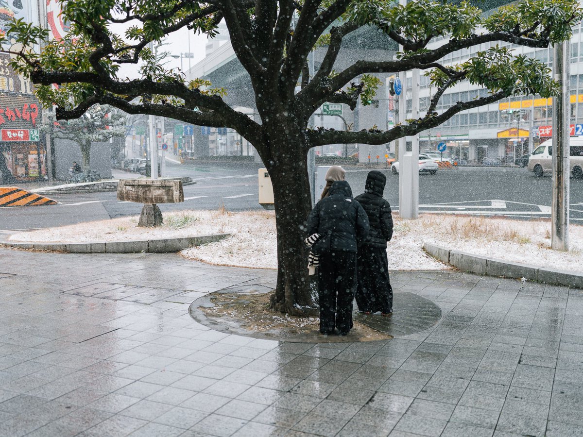 ironspring's tweet image. 朝は雪で寒くて午後からは風が冷たかった