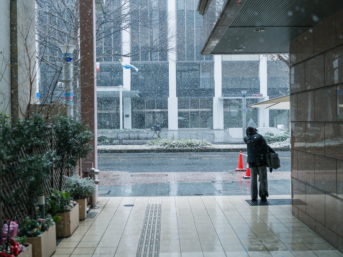 ironspring's tweet image. 朝は雪で寒くて午後からは風が冷たかった