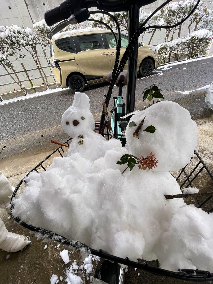 van_amongus's tweet photo. 雪だるま作った⛄️ https://t.co/EosldaTR28