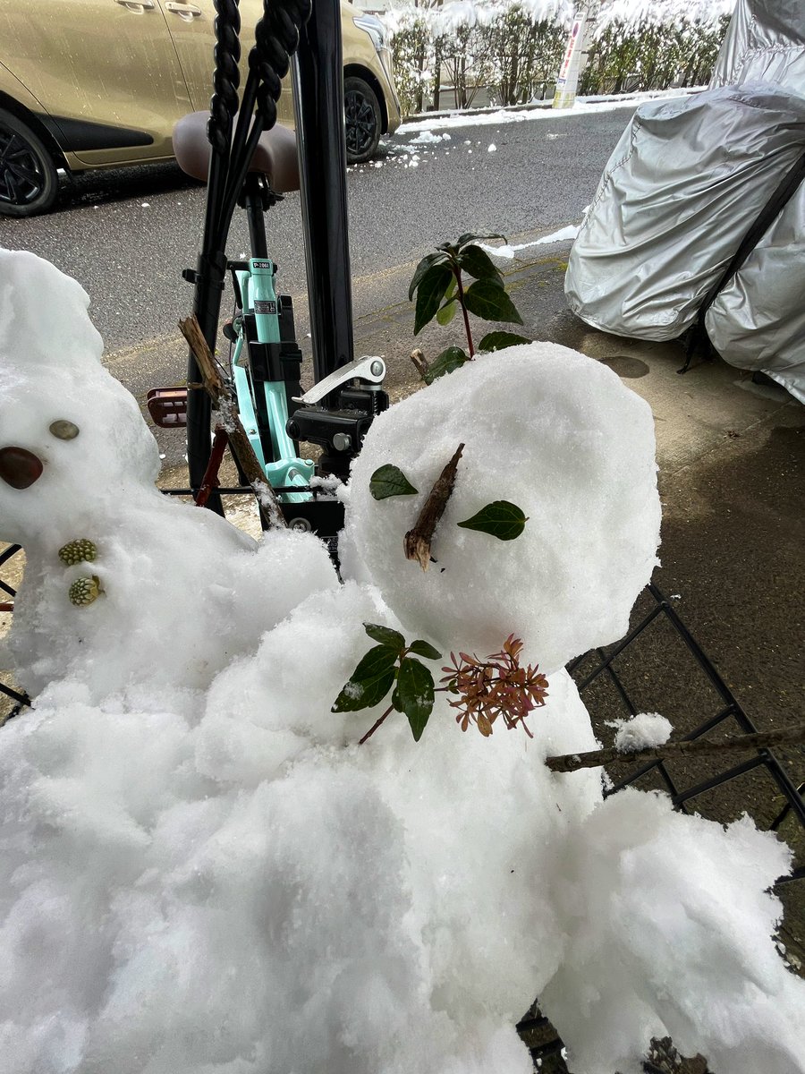 van_amongus's tweet photo. 雪だるま作った⛄️ https://t.co/EosldaTR28