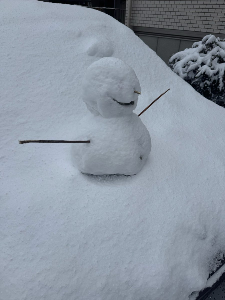 izutsu's tweet photo. 今期初の積雪 https://t.co/0AK5zexZs5