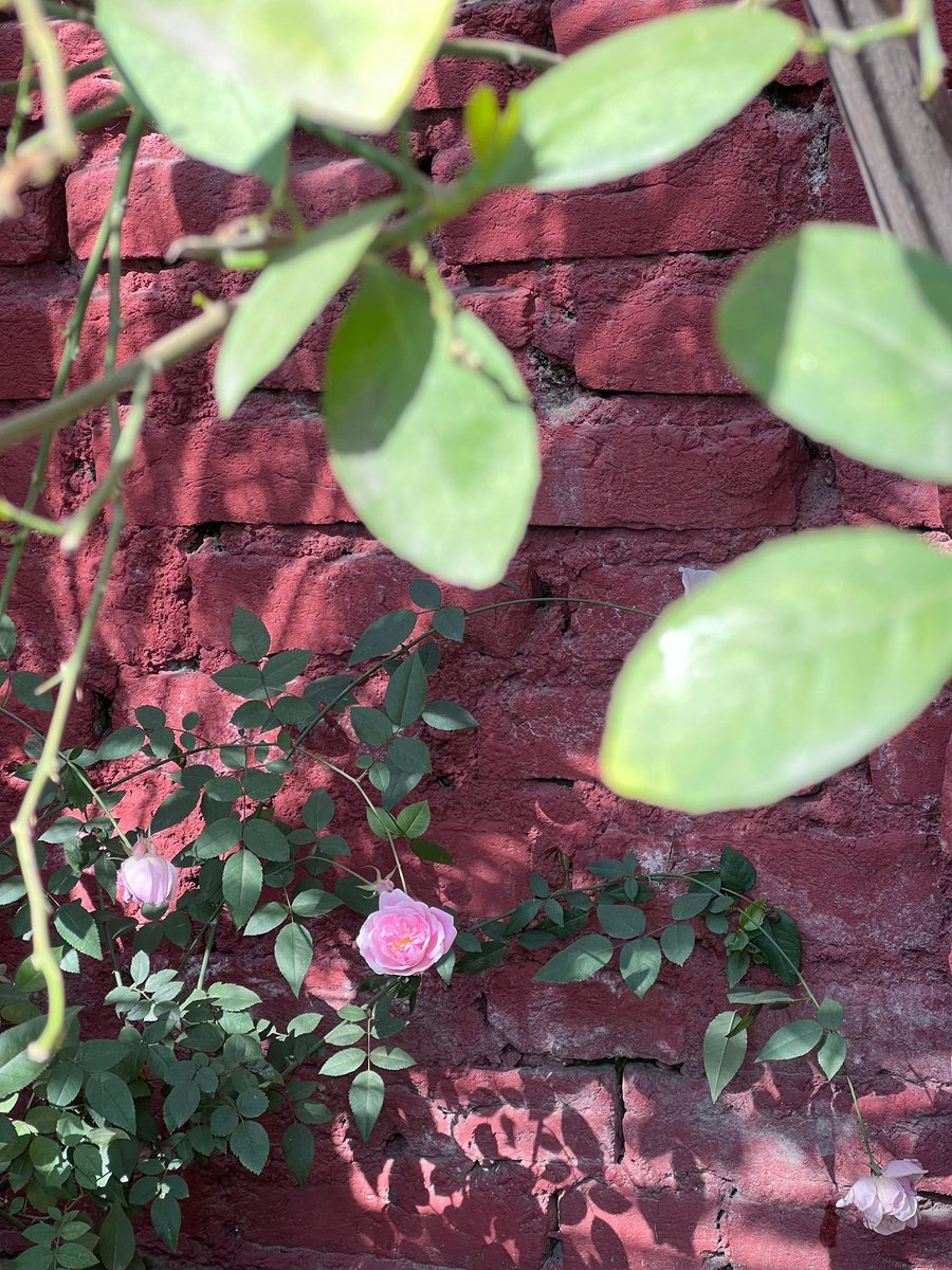 "ਸਾਈਂ ਜੀ, ਤੁਸੀਂ ਰੱਬ ਵੇਖਿਆ ਹੈ ਕਦੇ?"
"ਕੁਦਰਤ ਨੂੰ ਵੇਖਣਾ, ਰੱਬ ਨੂੰ ਵੇਖਣ ਵਾਂਗ ਹੈ," ਫ਼ਕੀਰ ਨੇ ਜਵਾਬ ਦਿੱਤਾ।

- 40din