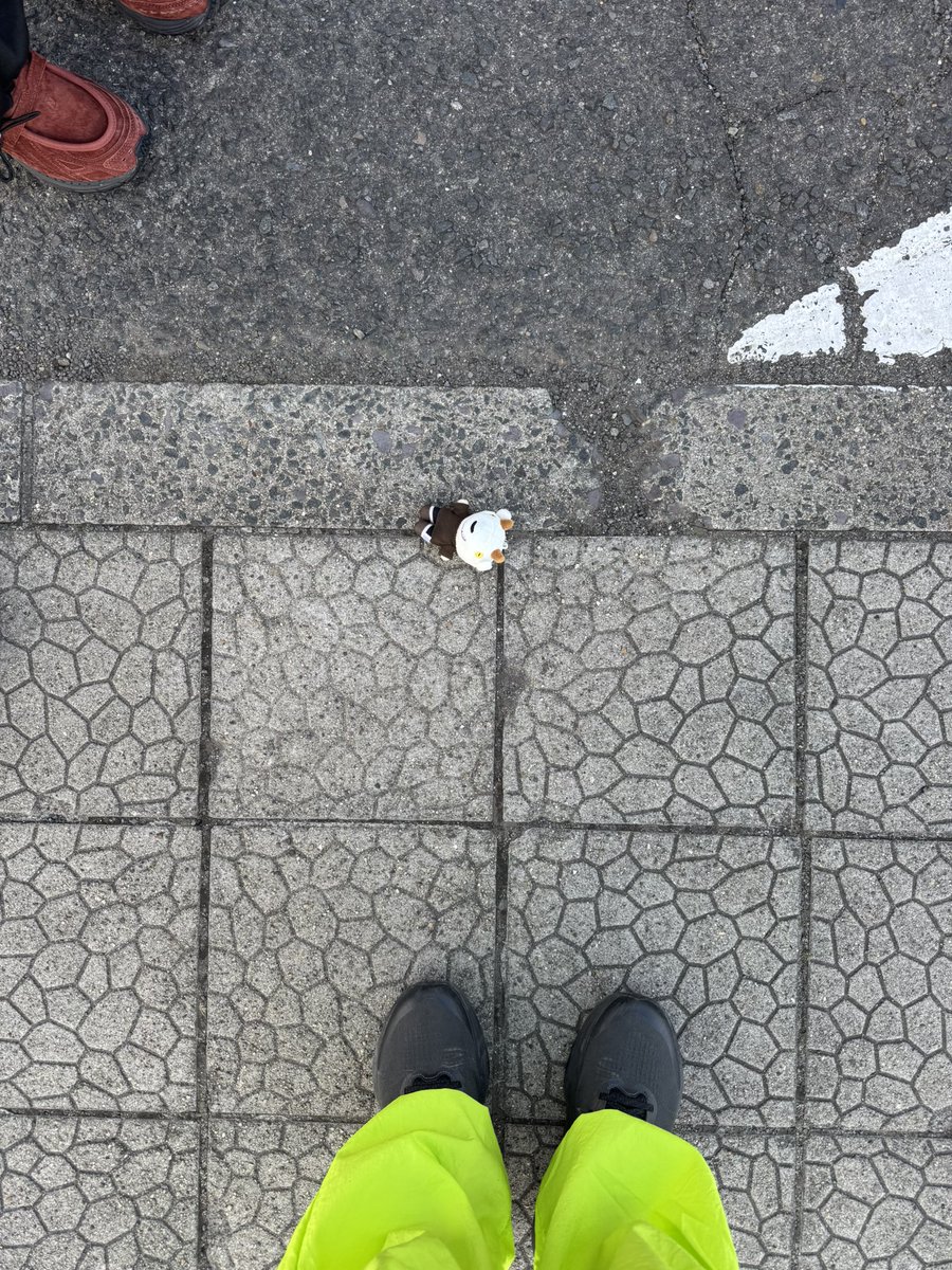 phon1_'s tweet image. Chevonライブにいらした方
しぇぼんくん落ちてました
自家製麺ラカンさんの近くです

どうか持ち主さんに届きますように

#Chevon #GIGS
#liveholic