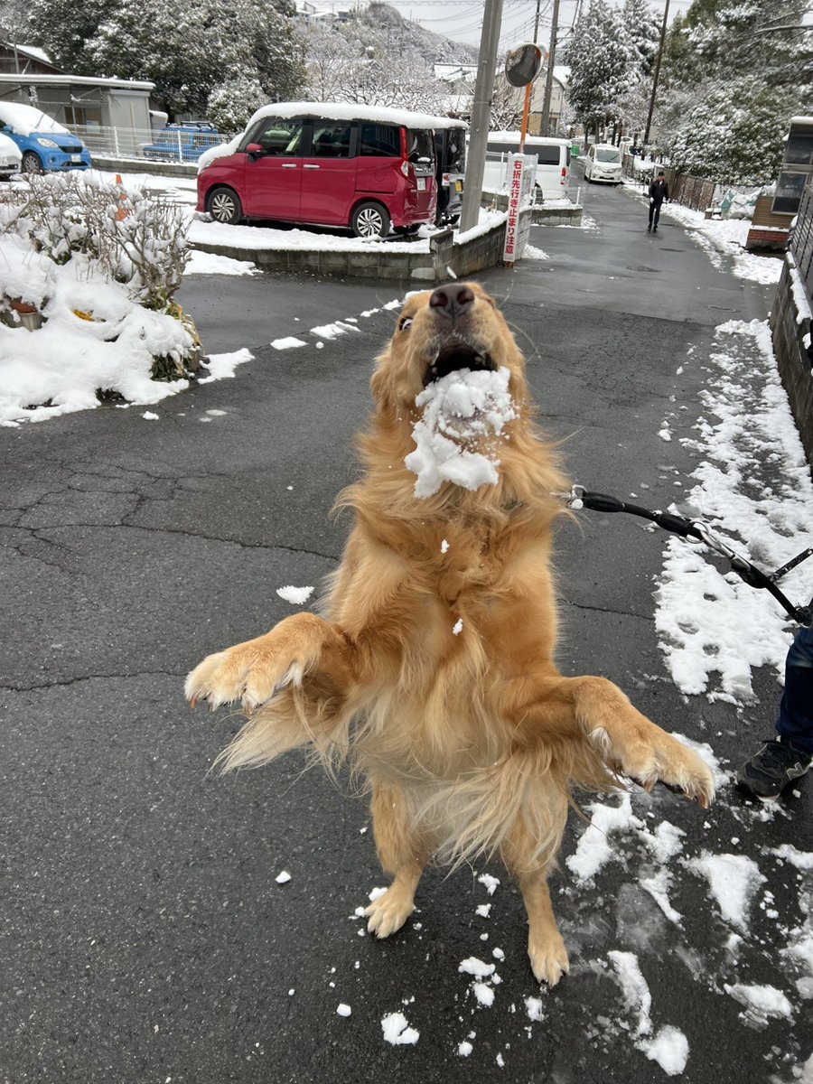 雪でテンション爆上がり❄️ ⤴︎