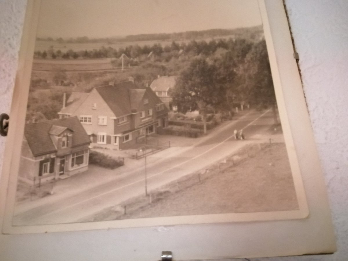 112 melding Verkeersincident met slachtoffers tegen boom in Eefde