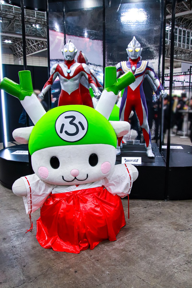 くっきー🌷ふ⃝🌷 (@sunflower931220) / Posts / X