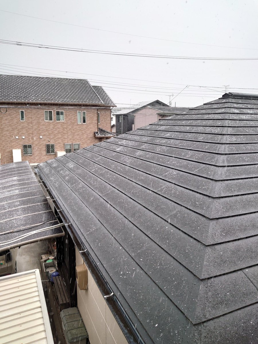 晴れてると言ったものの
降り始めてる❄️
近所の子供がはしゃいでおります