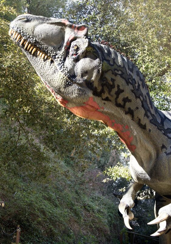 Dinosauri a due passi da Roma: il viaggio preistorico nell’Oasi WWF di Macchiagrande corrierenerd.it/oasi-wwf-macch…