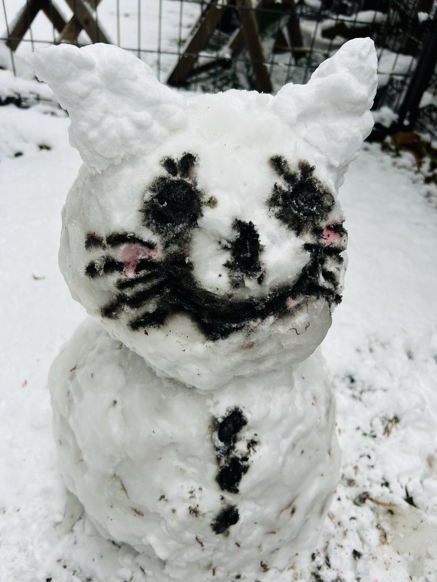 中村千尋𓃗 tweet media