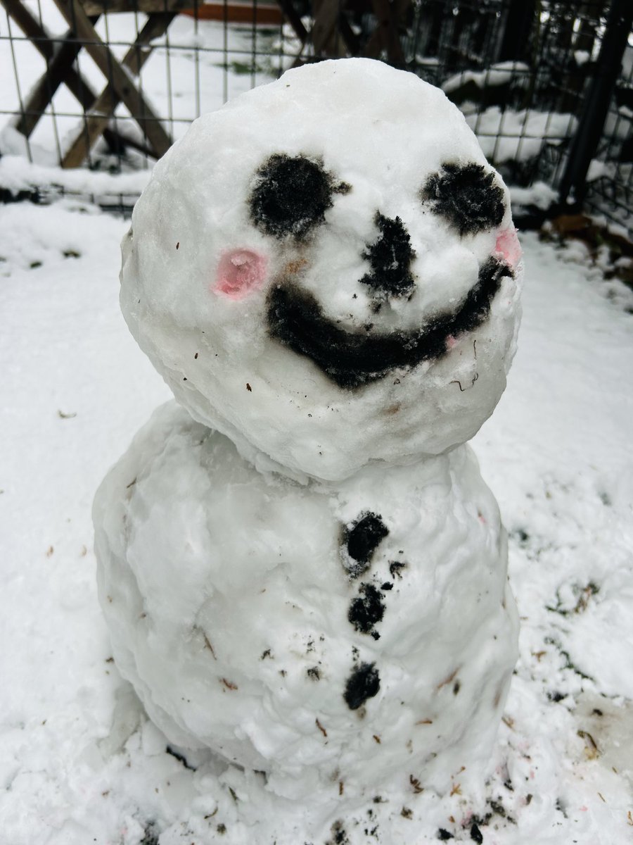 中村千尋𓃗 tweet media