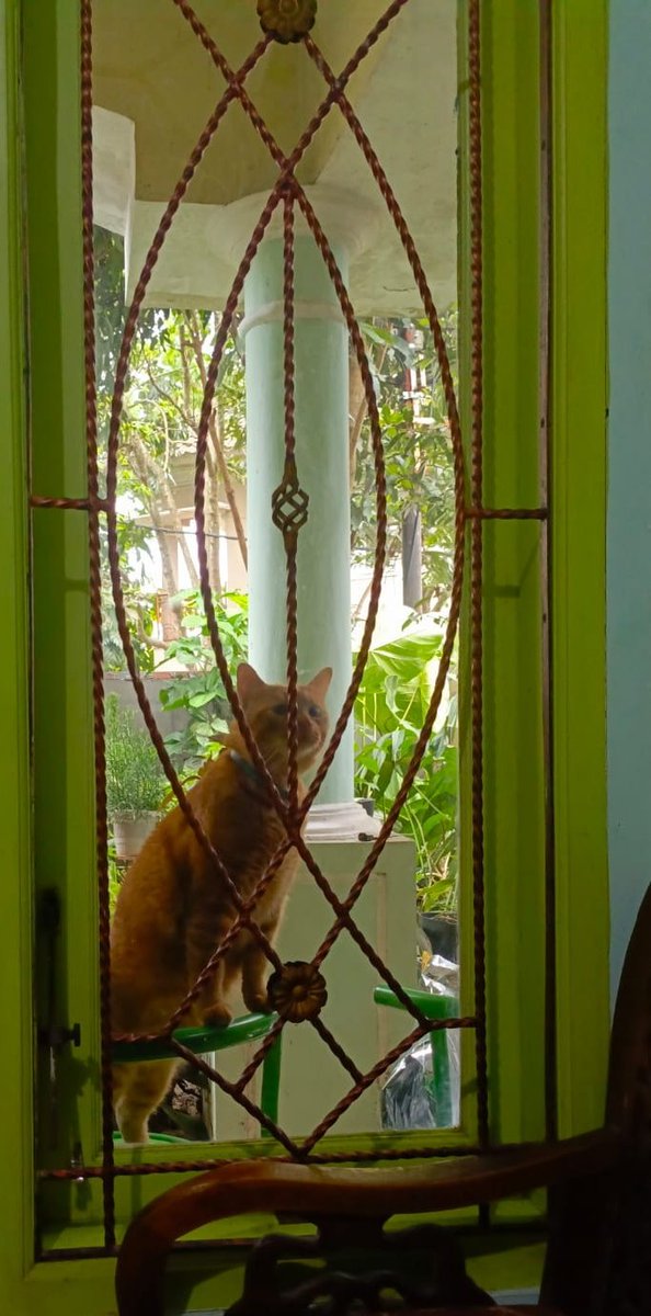 Mbaa tega benerrr, bukainnn nappaaa. Ga lagi2 cari janda ga pamitt 🥺🥺