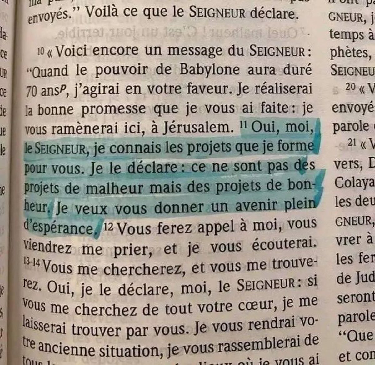 LobiNzambe's tweet photo. Bonne journée dominicale à tous ! 

🦅 https://t.co/Z7x2ihZETj