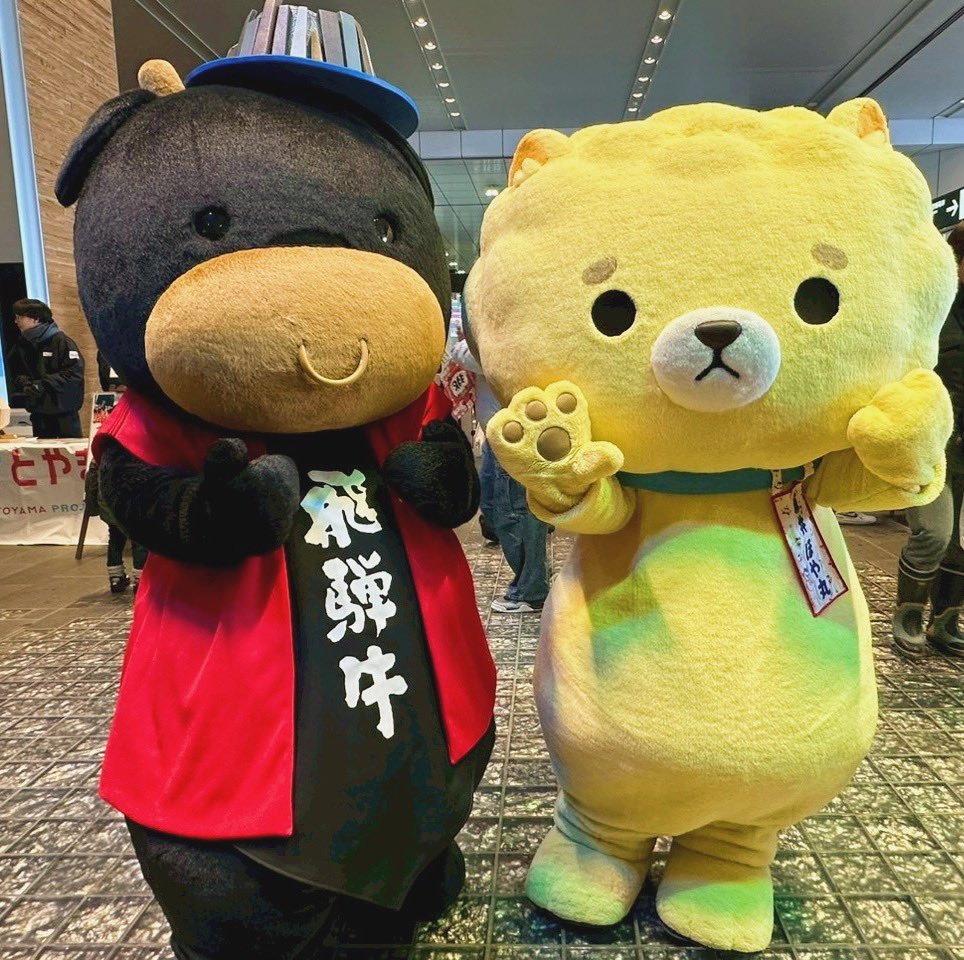 初めての富山、
鍋サミットひって楽しかったざ꒰ᐢ´• ·̭ •`ᐢ꒱ﾉ🍲
食材のひだくろ丸ちゃんとお写真撮ったざ⭐︎