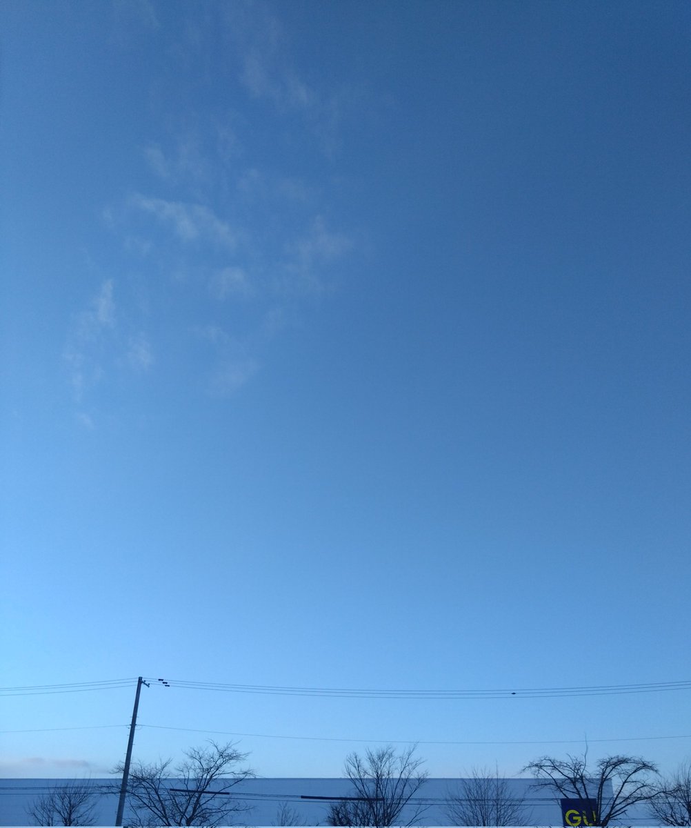 のーまーくん (@j44KMPlXzmq1CRb) / Posts / X