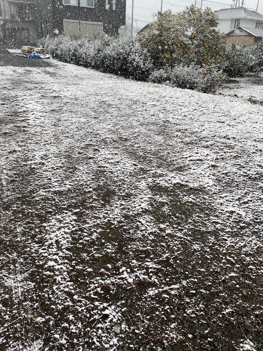 もっつー@釣りするShopifyエンジニア tweet media