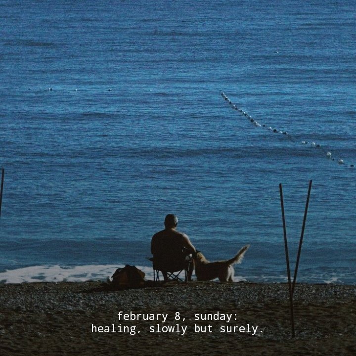 february 8, sunday...