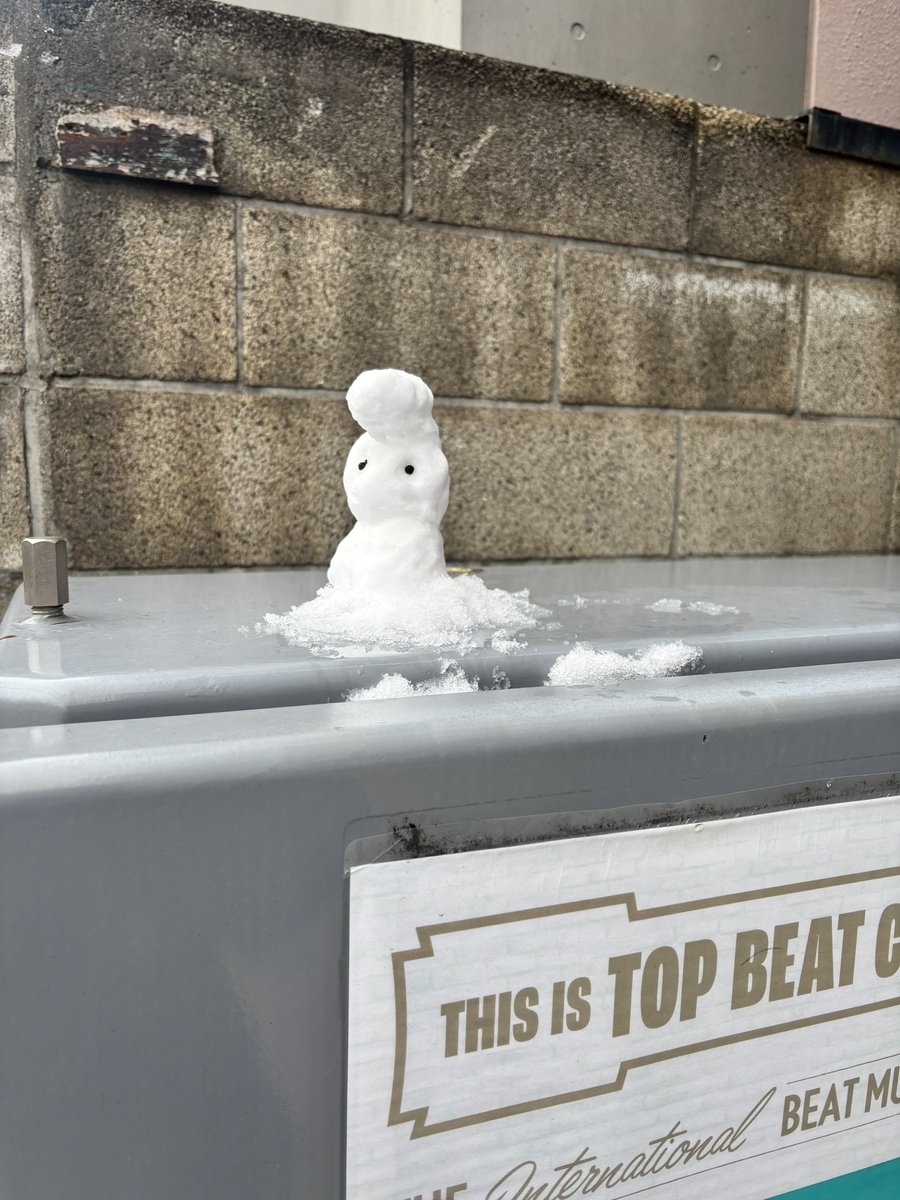 ミニリーゼント雪だるま⛄️