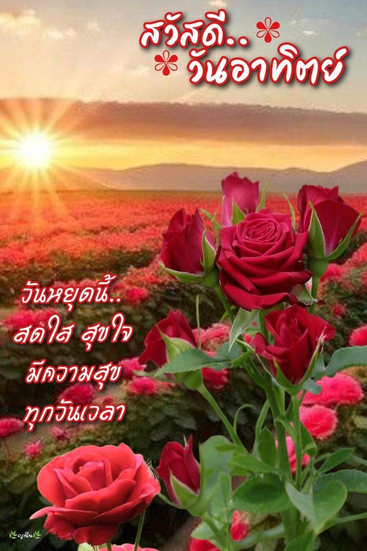 Dng tweet media