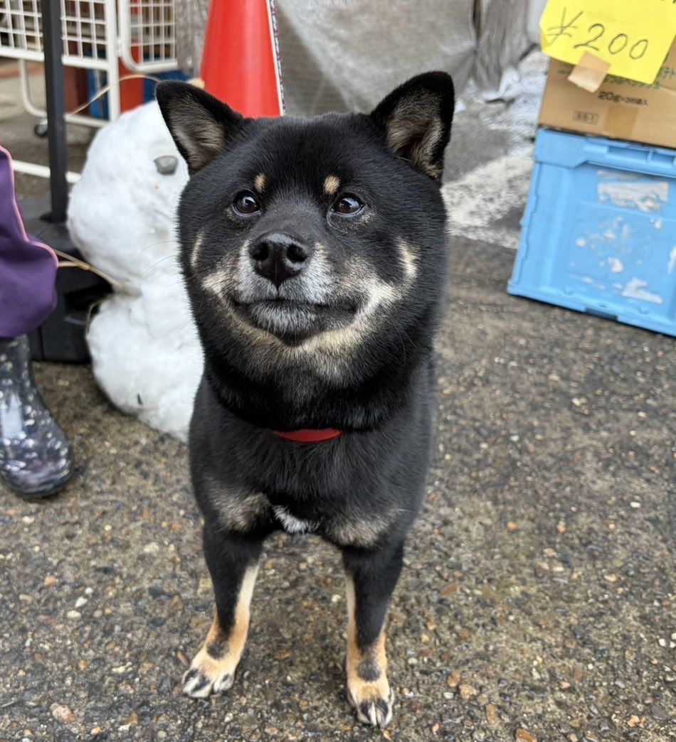 れおくん💕
ご来店ありがとうございました☺️