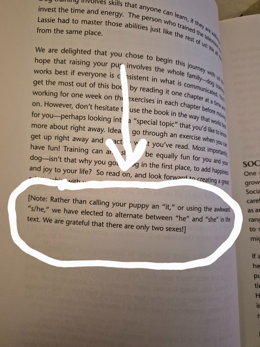 Prof Jo Phoenix tweet media