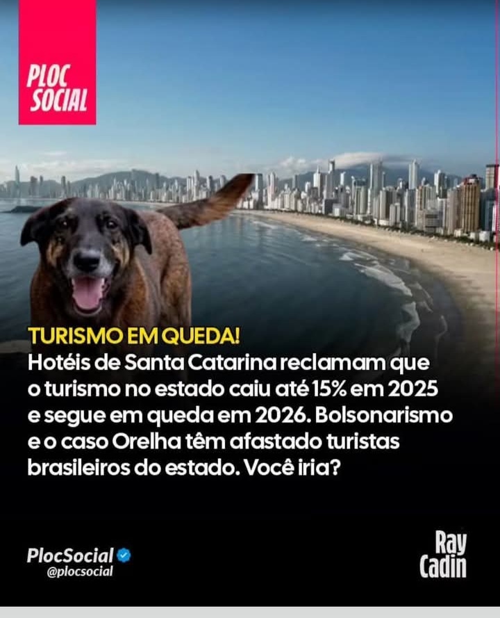 João Luiz (@joovito60648908) on Twitter photo 