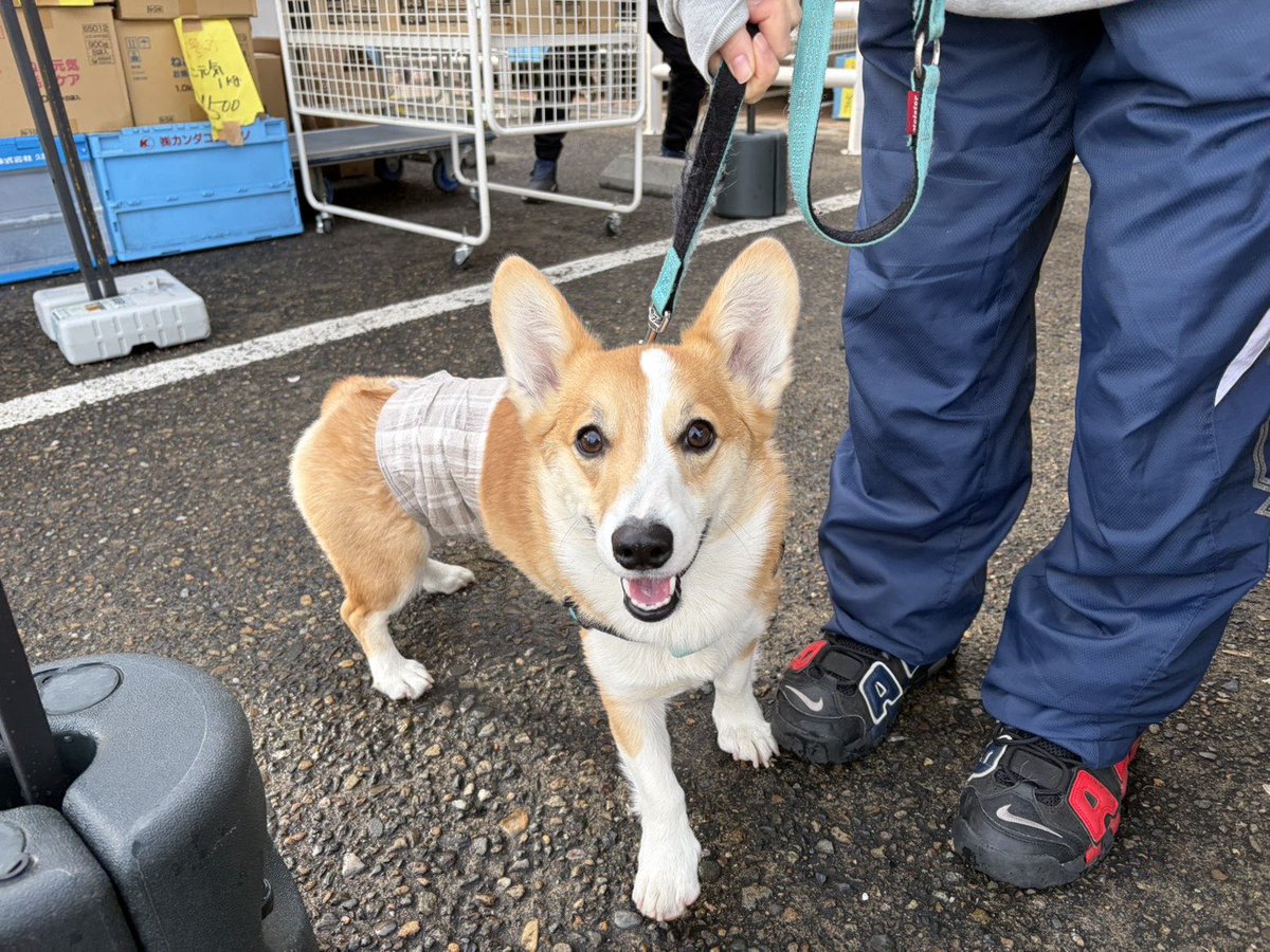 ろいくん💕
ご来店ありがとうございました☺️