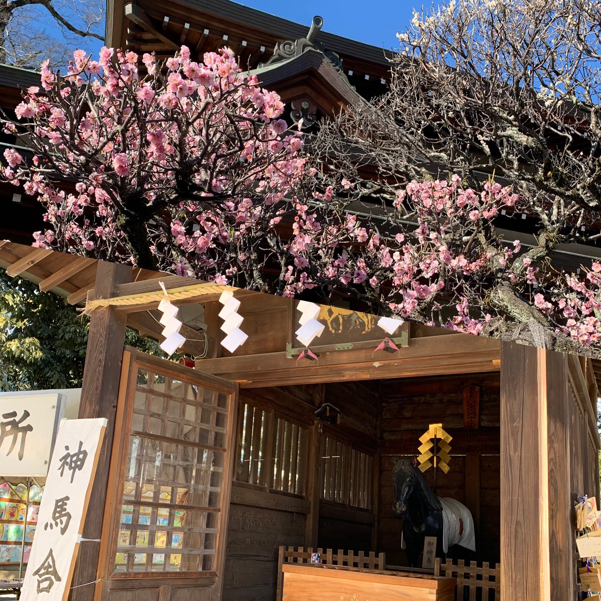 ありがとうございます