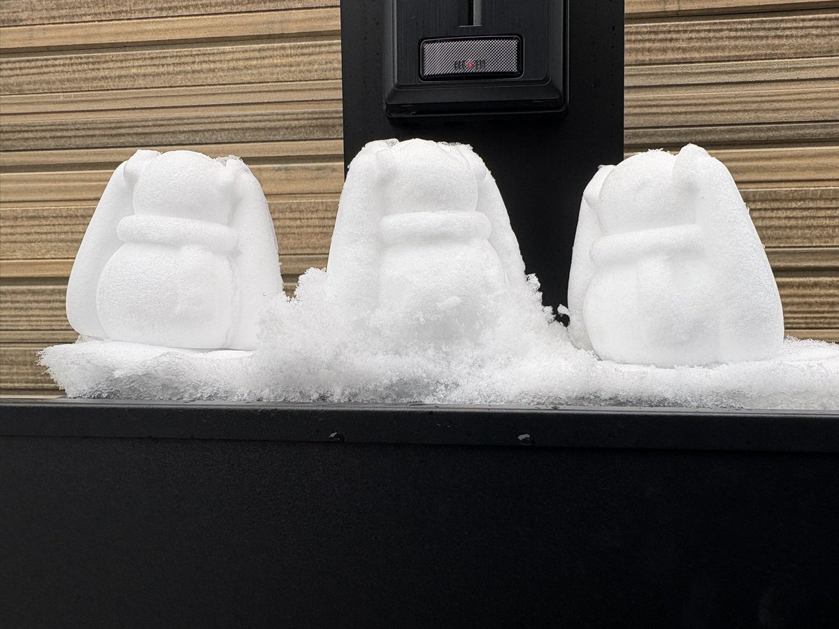 Leice_ww's tweet photo. 雪つもってた https://t.co/MTuFprDLpk