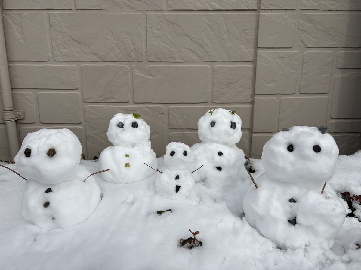 hanyapi3's tweet image. 雪ダルマ…娘さん作☃️