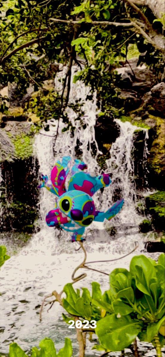 VeVeMaster 💙⭕️ 🌺 tweet media