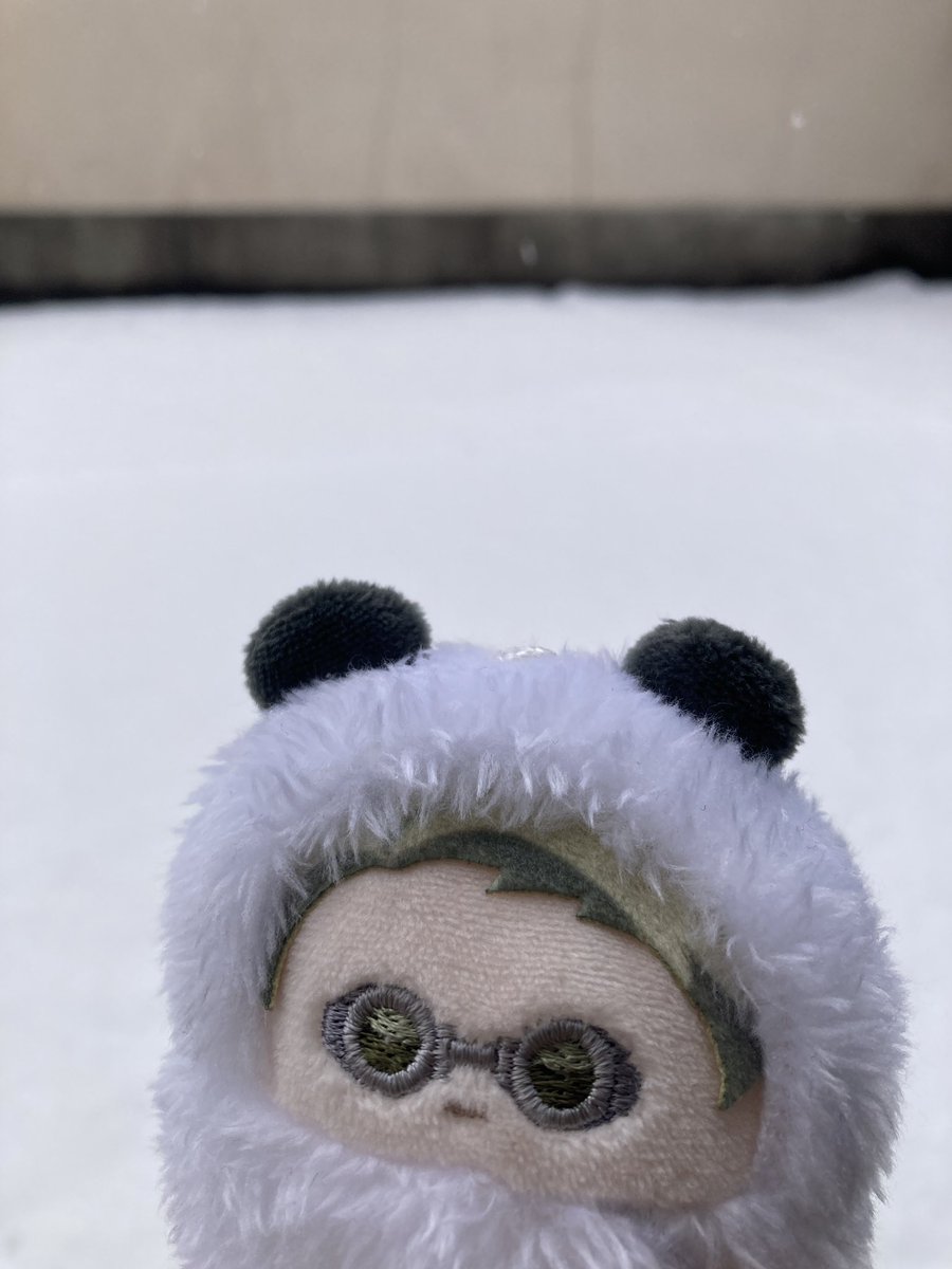 「雪ですね」
あるがままを受け入れるたぴミン