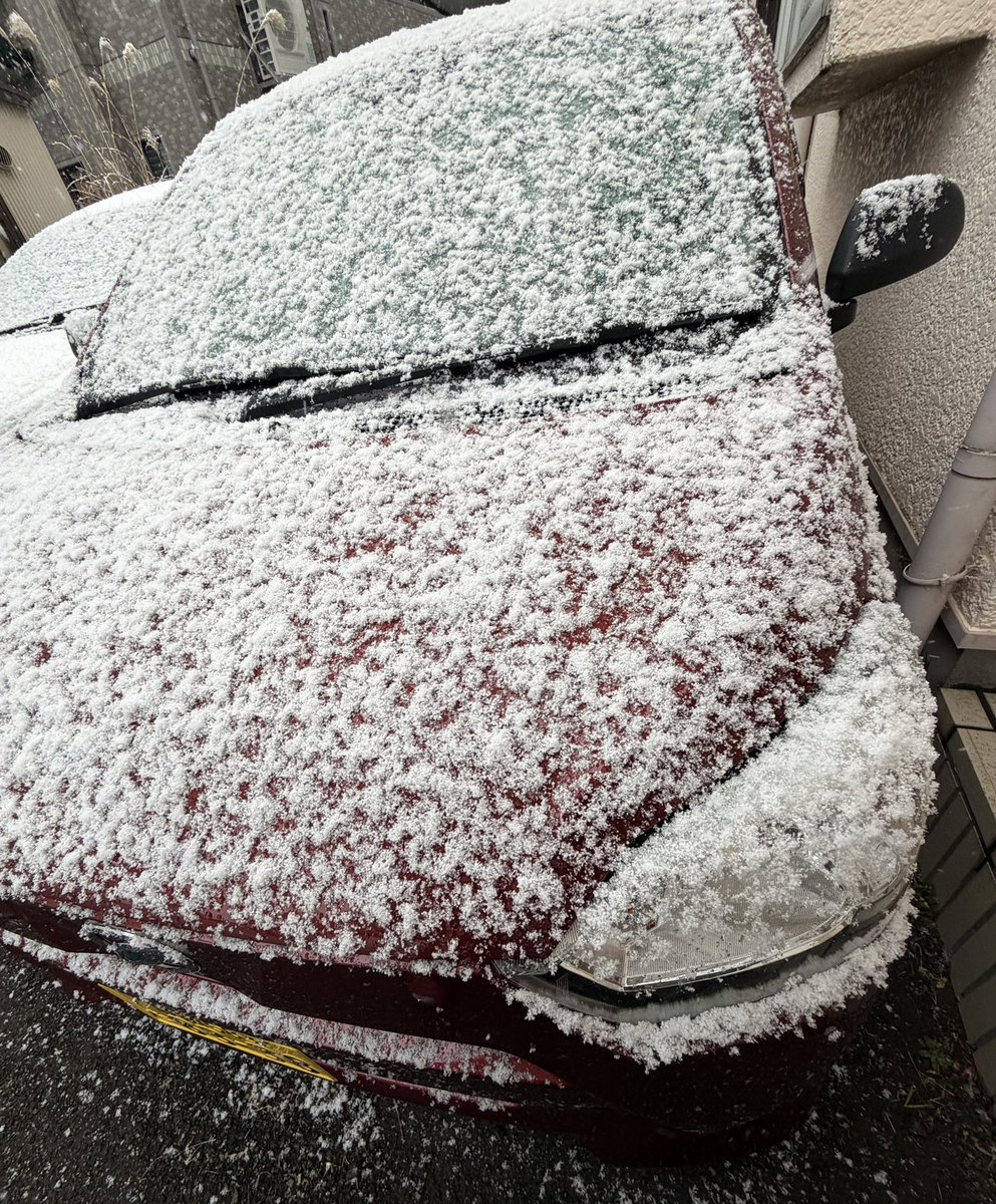 cquelove's tweet photo. 雪国の方すみません。静岡市南部では、滅多に無い降雪に大騒ぎです。「早く外を見て！」と家族にラインして、記念写真撮っています。 https://t.co/VknT5TPA4D