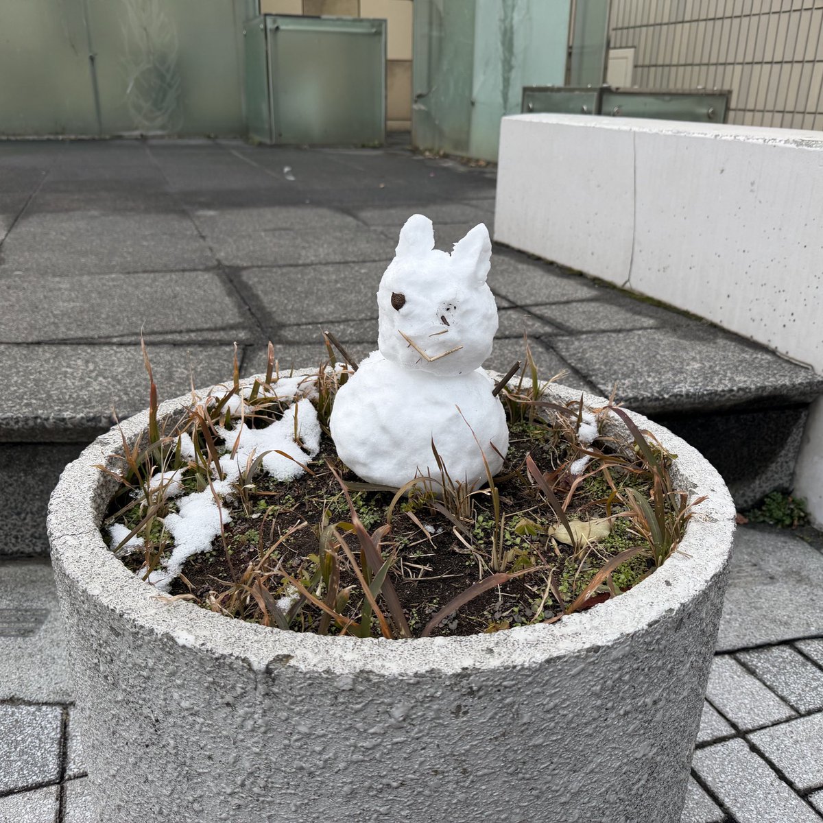 せるじ tweet media