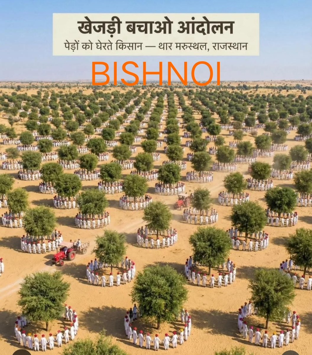 vishnoiak's tweet photo. Every step we take is a step for our soil, our water, and our future.
The #KhejriBachaoMahapadav in Bikaner, Rajasthan isn’t just a march; it’s a movement to protect our heritage from destruction.
Join the roar! 👣🌳#Bishnoi #KhejriBachao #SaveTrees #savenature 
@PMOIndia
@RajCMO https://t.co/ZkyLTLAiHU