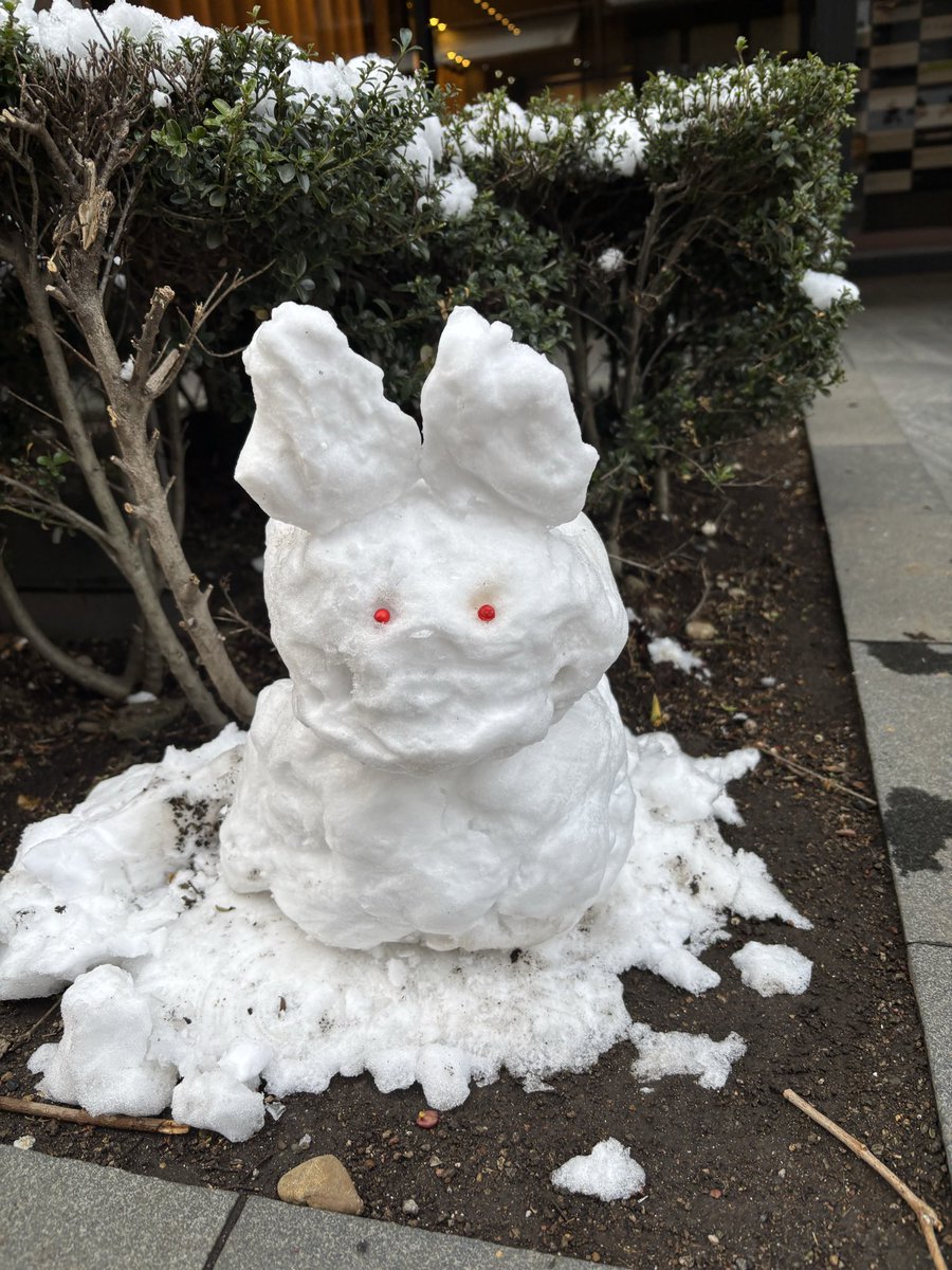 東京積雪3cmの雪だるま達⛄️ 3だるま三様😆